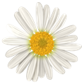 DS_All_youNeedIs_Love_Add-On_Daisy[5]